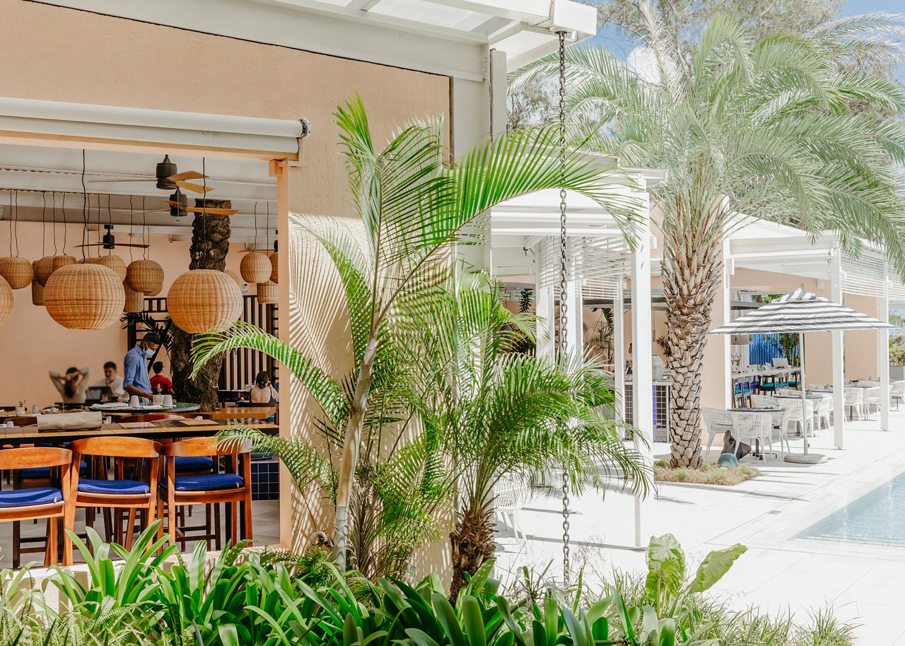 SALT of Palmar — gallery image 20